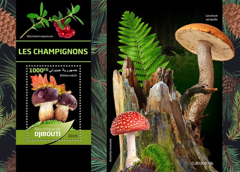 Djibouti 2019 MNH Mushrooms Stamps Boletus Fly Agaric Fungi Nature 1v S/S