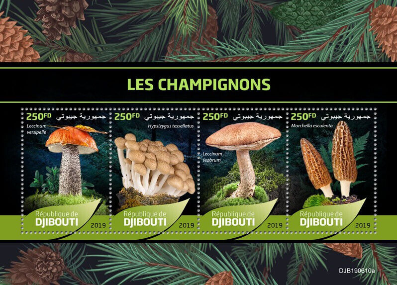 Djibouti 2019 MNH Mushrooms Stamps Leccinum Morchella Fungi Nature 4v M/S