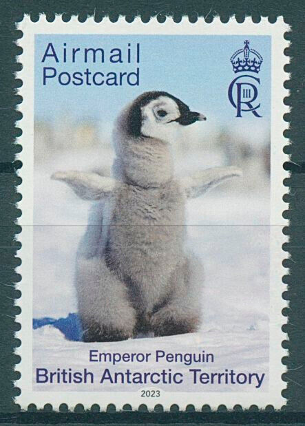 BAT 2023 MNH Birds on Stamps Penguins Airmail Postcard Emperor Penguin 1v Set