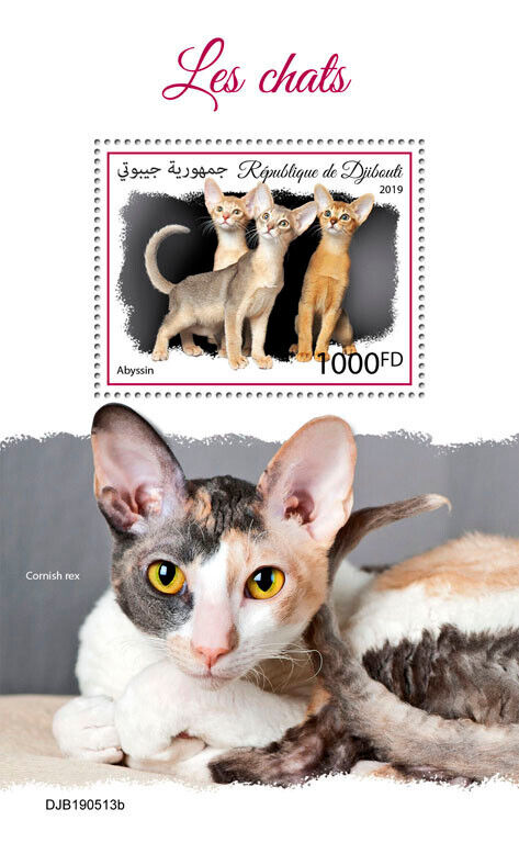 Djibouti 2019 MNH Cats Stamps Abyssinian Cat Cornish Rex Pets 1v S/S