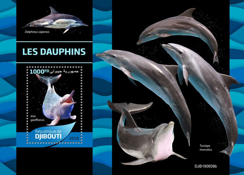 Djibouti 2019 MNH Marine Animals Stamps Dolphins Amazon River Dolphin 1v S/S