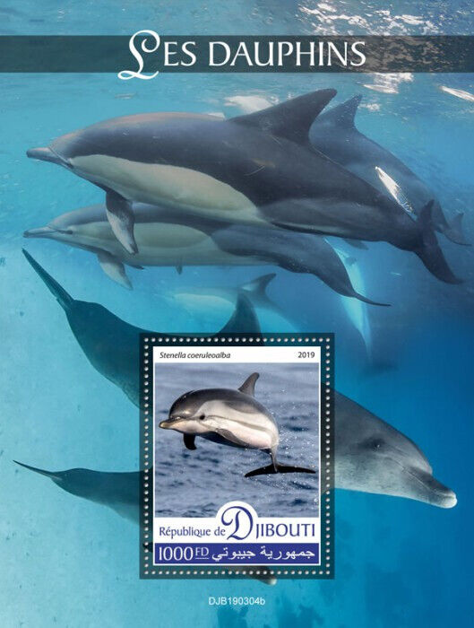 Djibouti 2019 MNH Marine Animals Stamps Dolphins Striped Dolphin 1v S/S