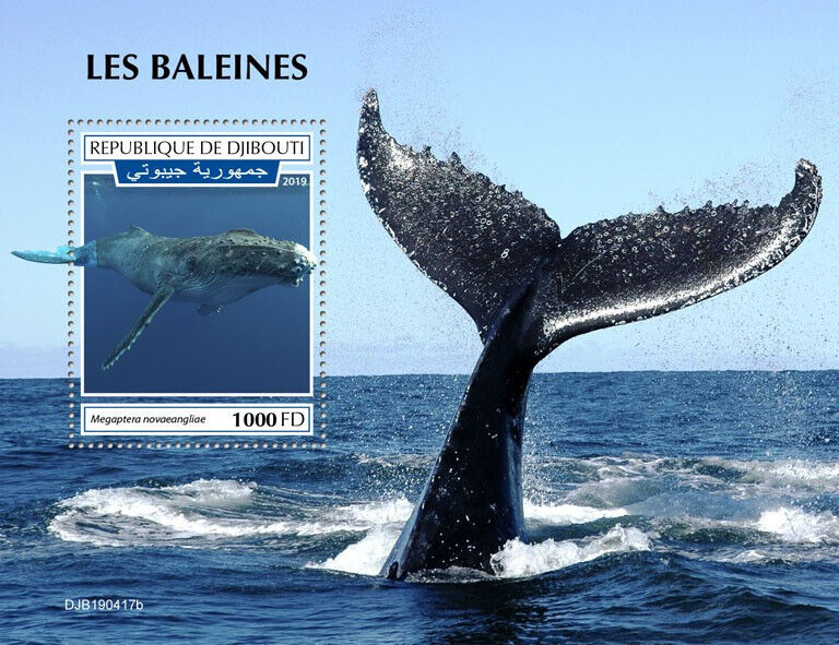 Djibouti 2019 MNH Marine Animals Stamps Whales Humpback Whale 1v S/S