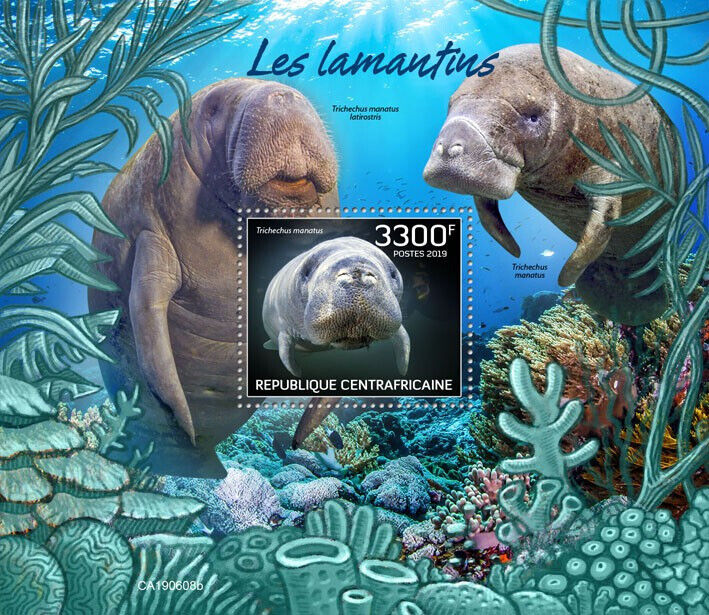 Central African Rep 2019 MNH Marine Animals Stamps Manatees Manatee 1v S/S