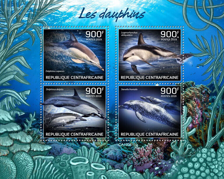 Central African Rep 2019 MNH Marine Animals Stamps Dolphins Common Dolphin 4v MS