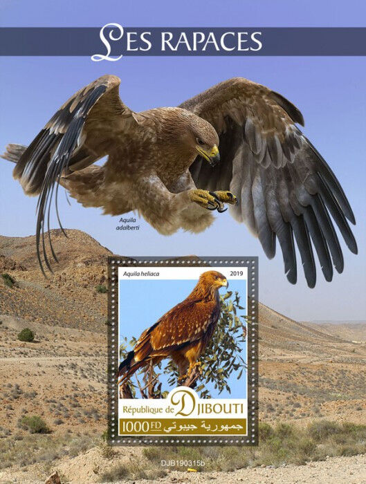 Djibouti 2019 MNH Birds of Prey on Stamps Spanish Eastern Imperial Eagles 1v S/S