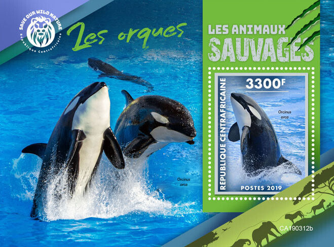 Central African Rep 2019 MNH Marine Animals Stamps Killer Whales Orcas 1v S/S