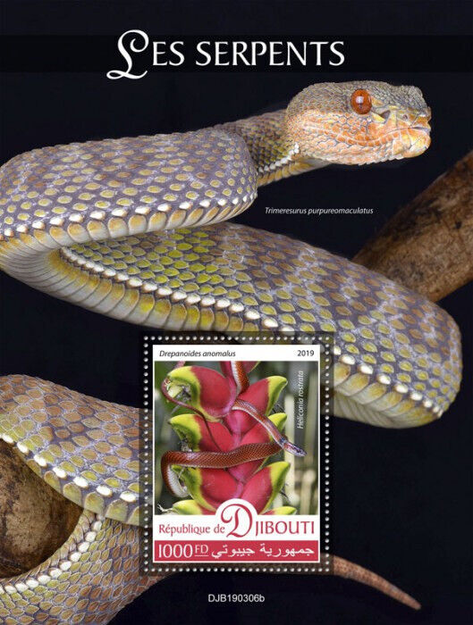 Djibouti 2019 MNH Reptiles Stamps Snakes Black-Collared Snake 1v S/S