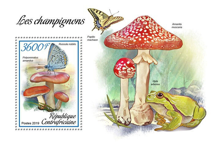 Central African Rep 2019 MNH Mushrooms Stamps Polyommatus Fungi Nature 1v S/S
