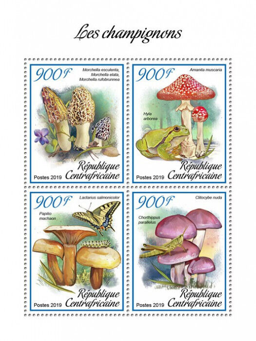 Central African Rep 2019 MNH Mushrooms Stamps Fly Agaric Fungi Nature 4v M/S