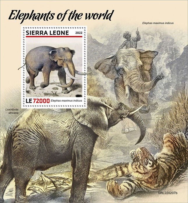 Sierra Leone 2022 MNH Wild Animals Stamps Elephants of World Fauna 1v S/S