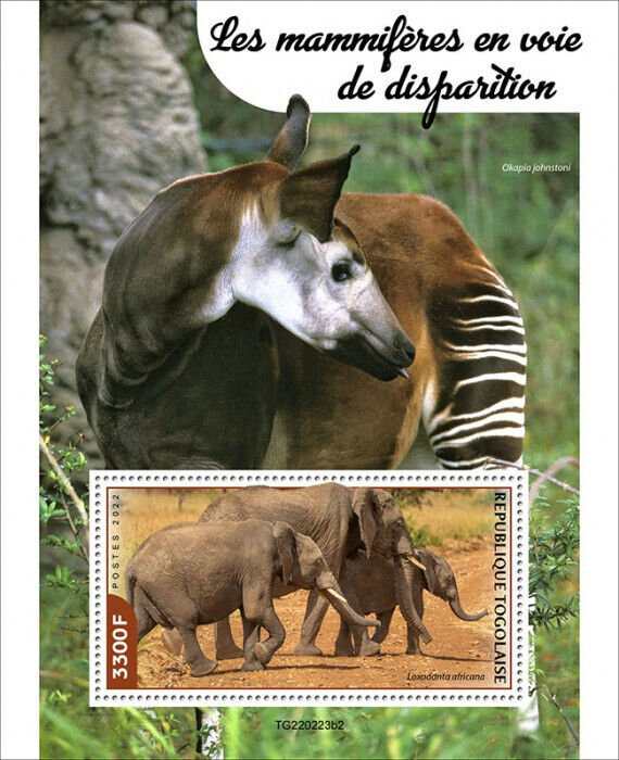 Togo 2022 MNH Wild Animals Stamps Endangered Mammals Elephants Fauna 1v S/S II