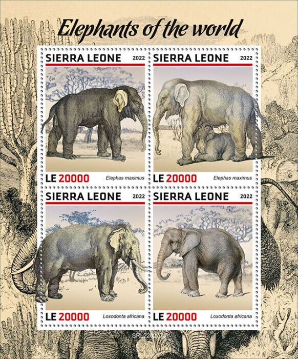 Sierra Leone 2022 MNH Wild Animals Stamps Elephants of World Fauna 4v M/S