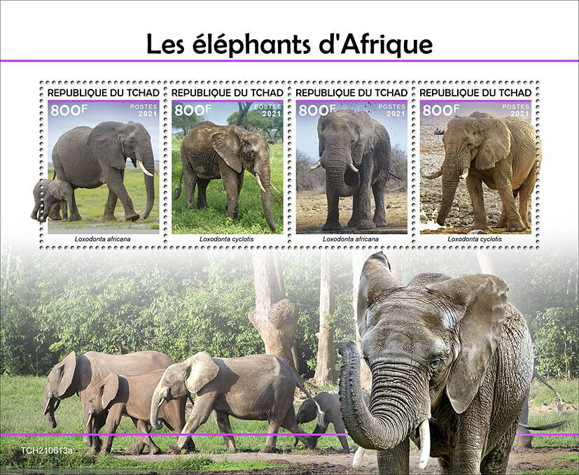 Chad 2021 MNH Wild Animals Stamps Elephants African Forest Bush Elephant 4v M/S