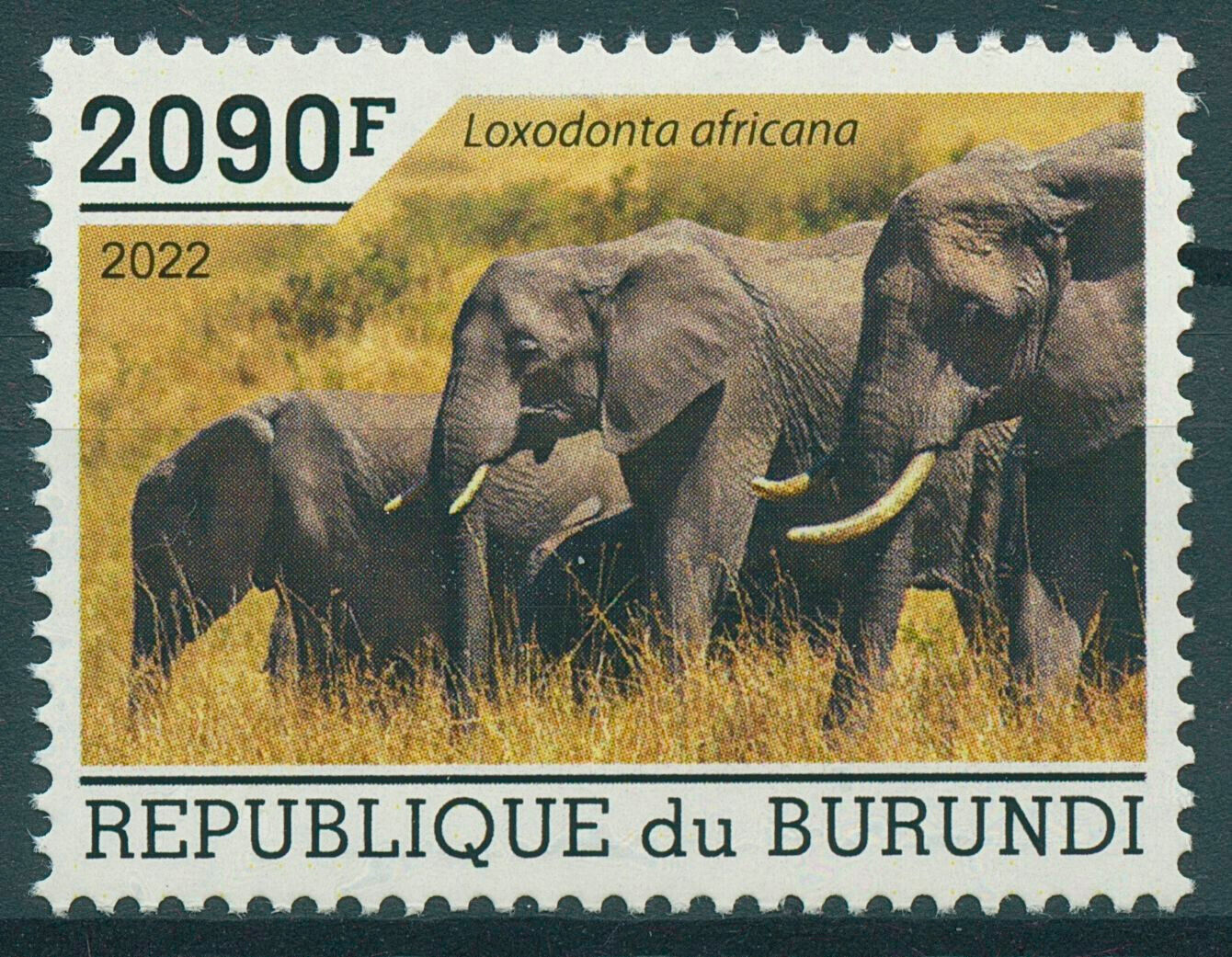 Burundi 2022 MNH Wild Animals Stamps Elephants African Bush Elephant 2090F 1v