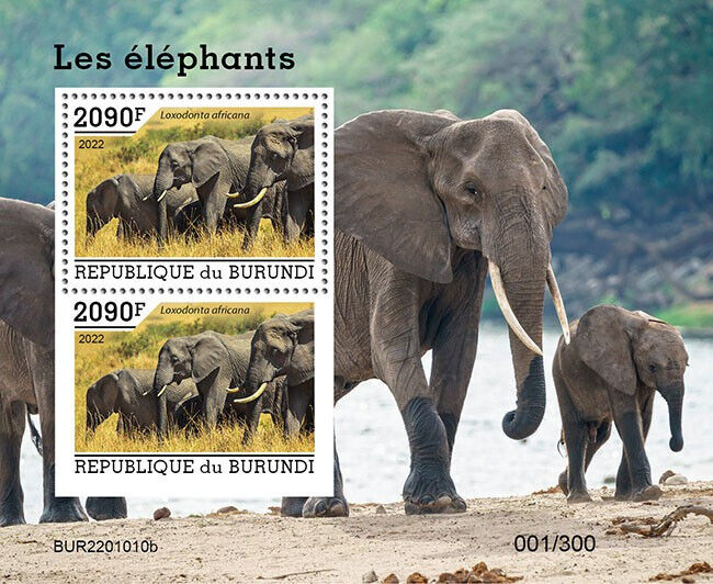 Burundi 2022 MNH Wild Animals Stamps Elephants Bush Elephant 2090F 2v M/S + IMPF
