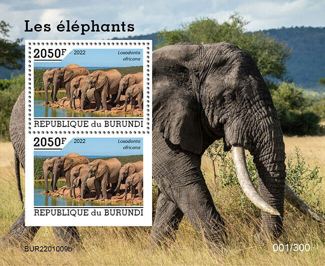 Burundi 2022 MNH Wild Animals Stamps Elephants Bush Elephant 2050F 2v M/S + IMPF