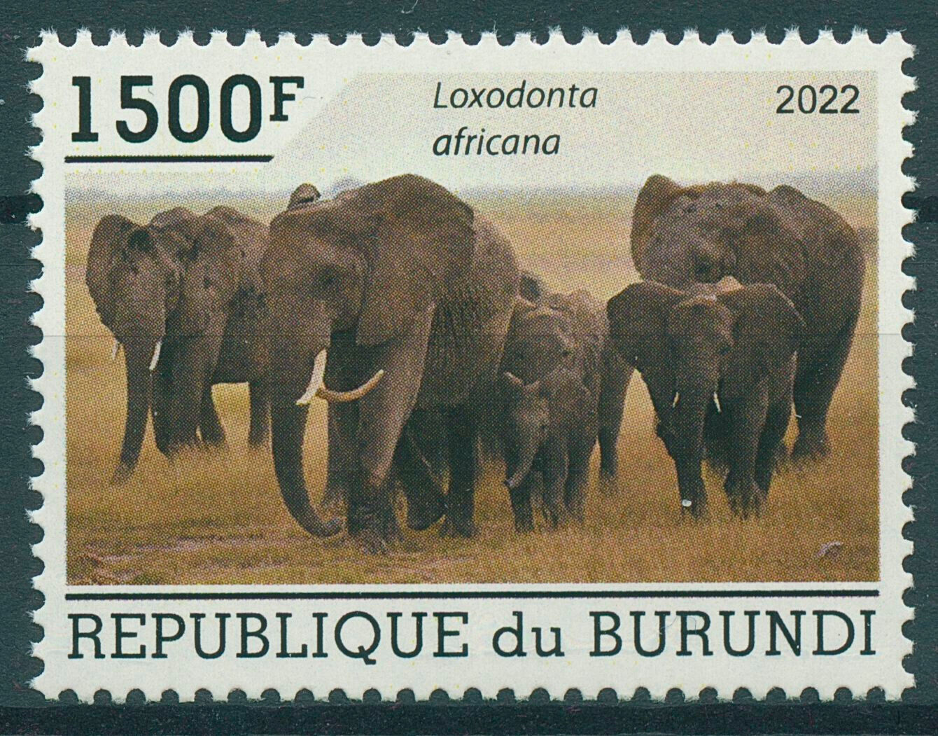 Burundi 2022 MNH Wild Animals Stamps Elephants African Bush Elephant 1500F 1v