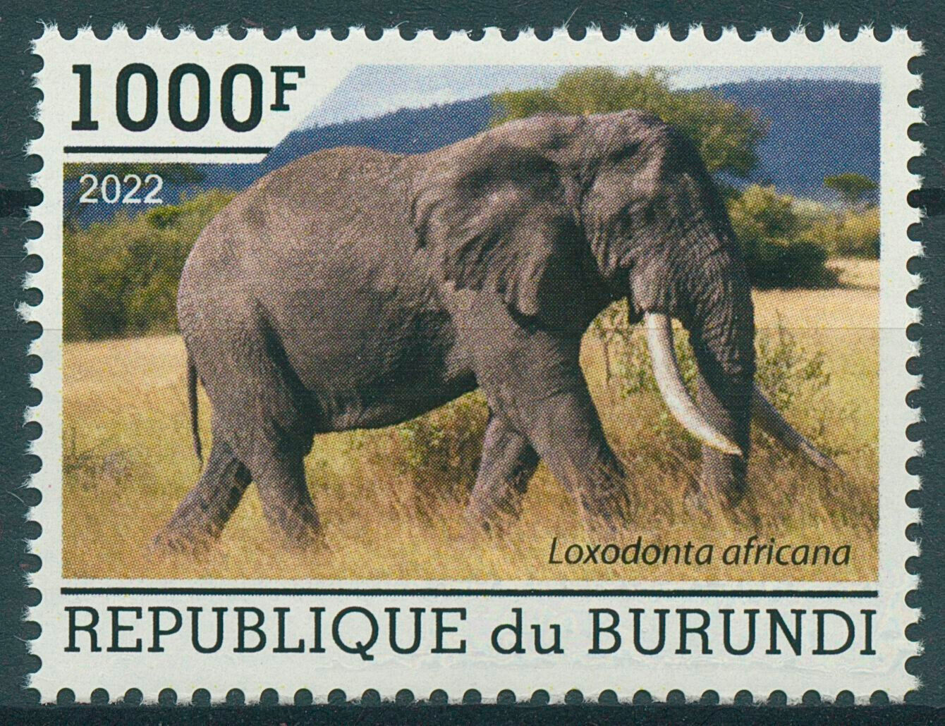 Burundi 2022 MNH Wild Animals Stamps Elephants African Bush Elephant 1000F 1v