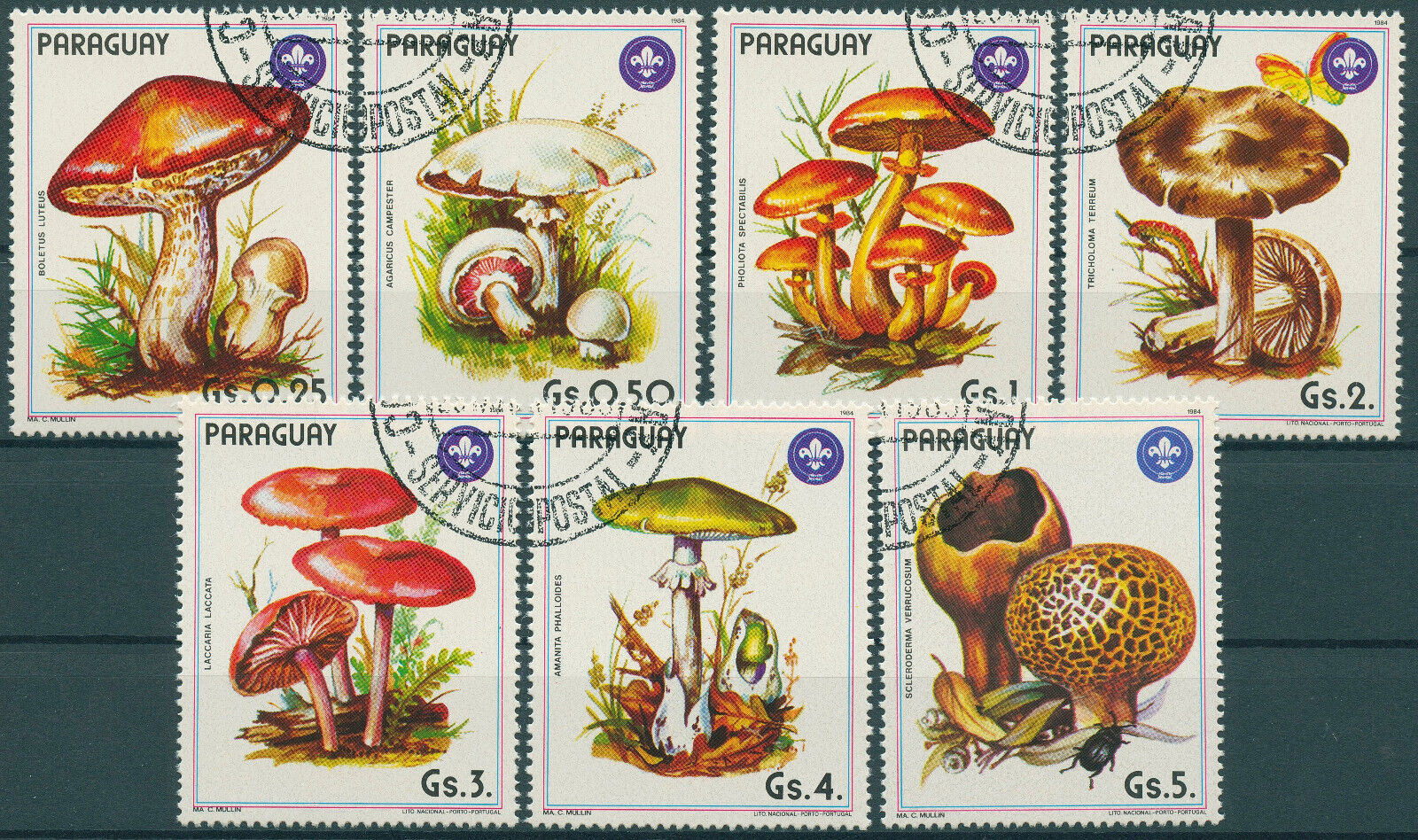 Paraguay 1985 CTO Mushrooms Stamps Amanita Boletus Fungi Nature 7v Set