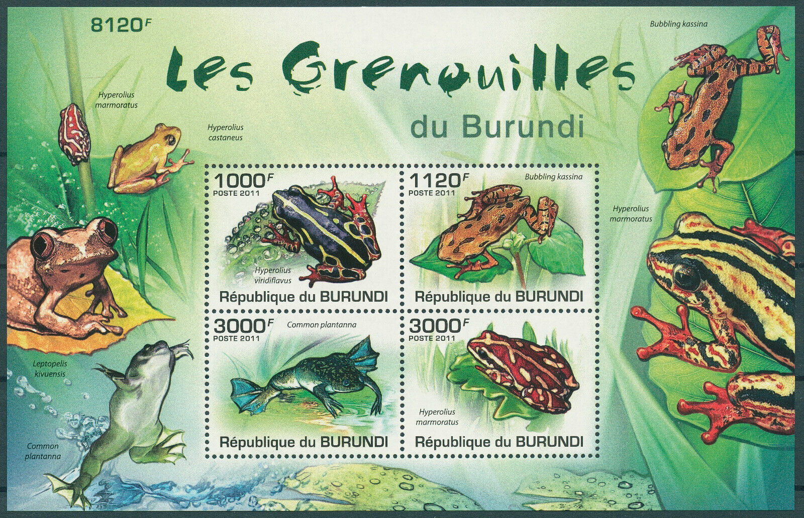Burundi 2011 MNH Amphibians Stamps Frogs Common Reed Frog 4v M/S
