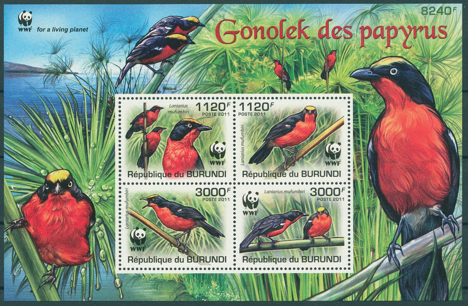 Burundi 2011 MNH Birds on Stamps WWF Papyrus Gonolek 4v M/S