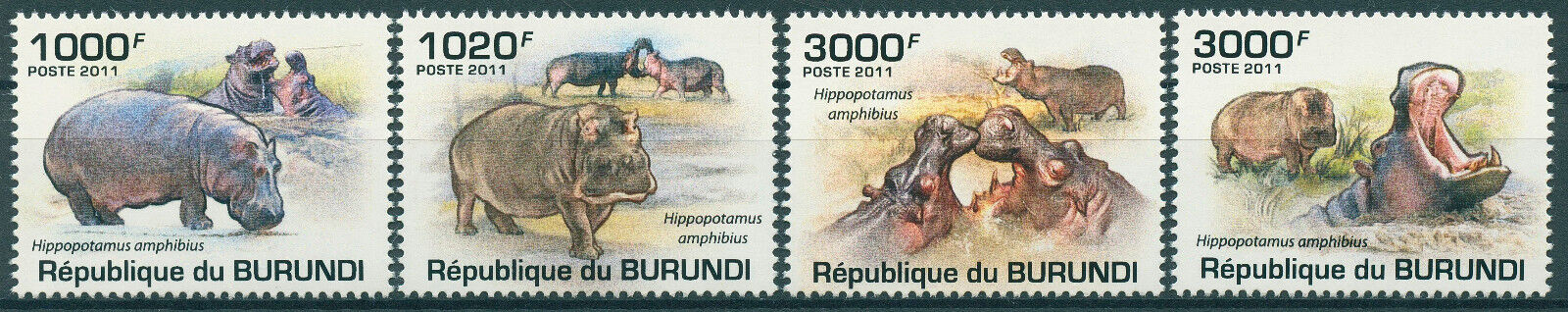 Burundi 2011 MNH Wild Animals Stamps Hippos Hippopotamus 4v Set