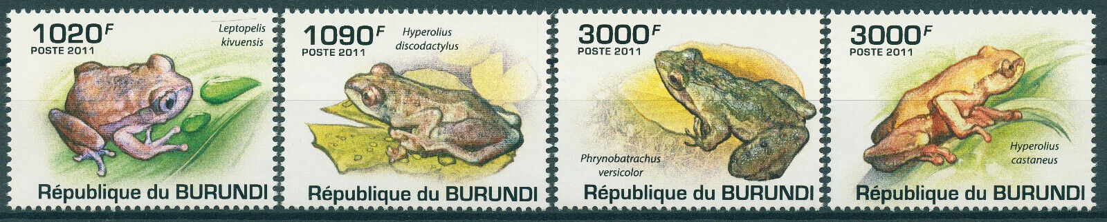 Burundi 2011 MNH Amphibians Stamps Frogs Highland Reed Frog 4v Set