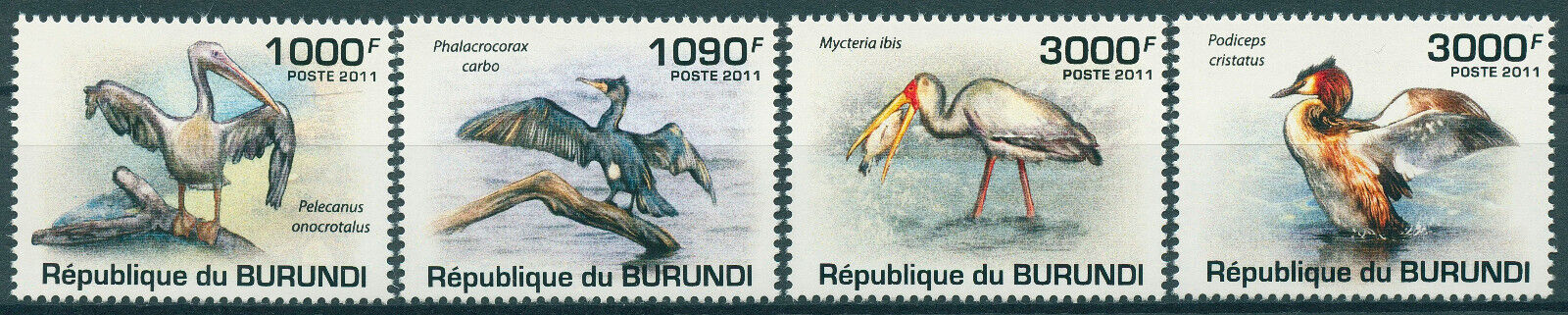 Burundi 2011 MNH Birds on Stamps Pelicans Great Cormorants Storks Grebes 4v Set