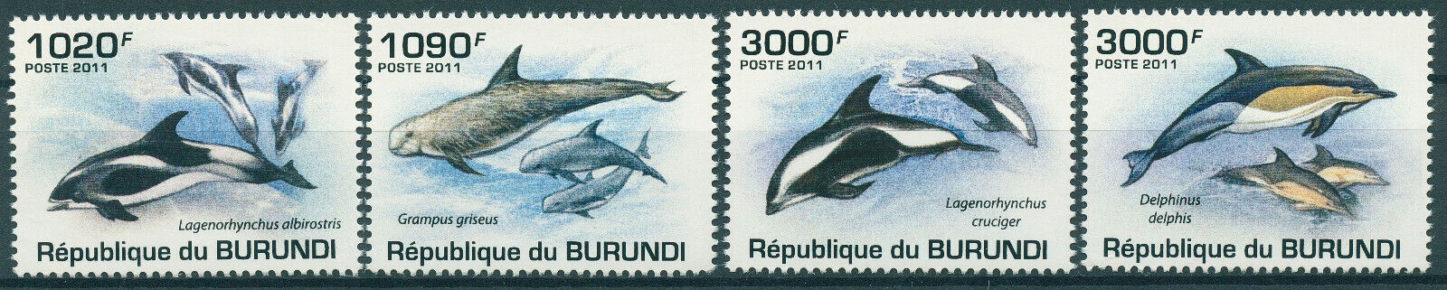 Burundi 2011 MNH Marine Animals Stamps Dolphins Hourglass Risso's Dolphin 4v Set