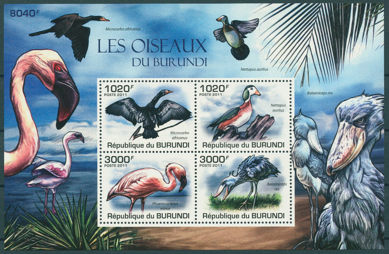 Burundi 2011 MNH Birds on Stamps Shoebill Flamingos Goose Cormorants 4v M/S