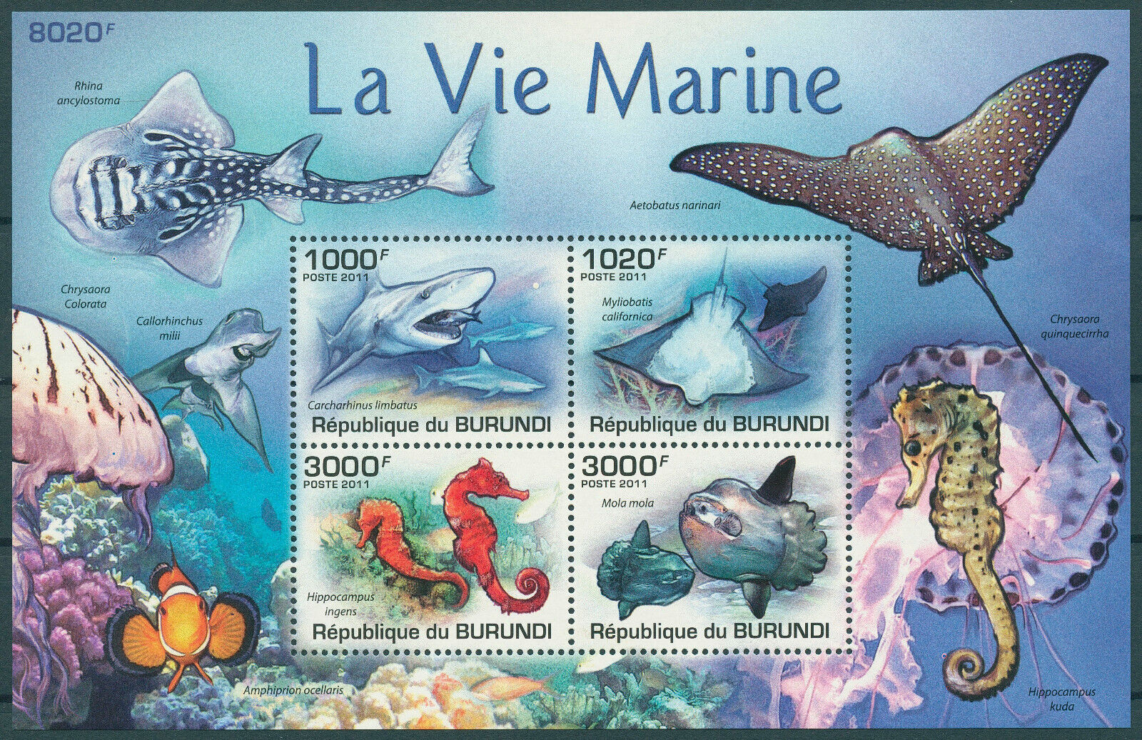 Burundi 2011 MNH Marine Animals Stamps Fish Sharks Sunfish Seahorses Rays 4v M/S