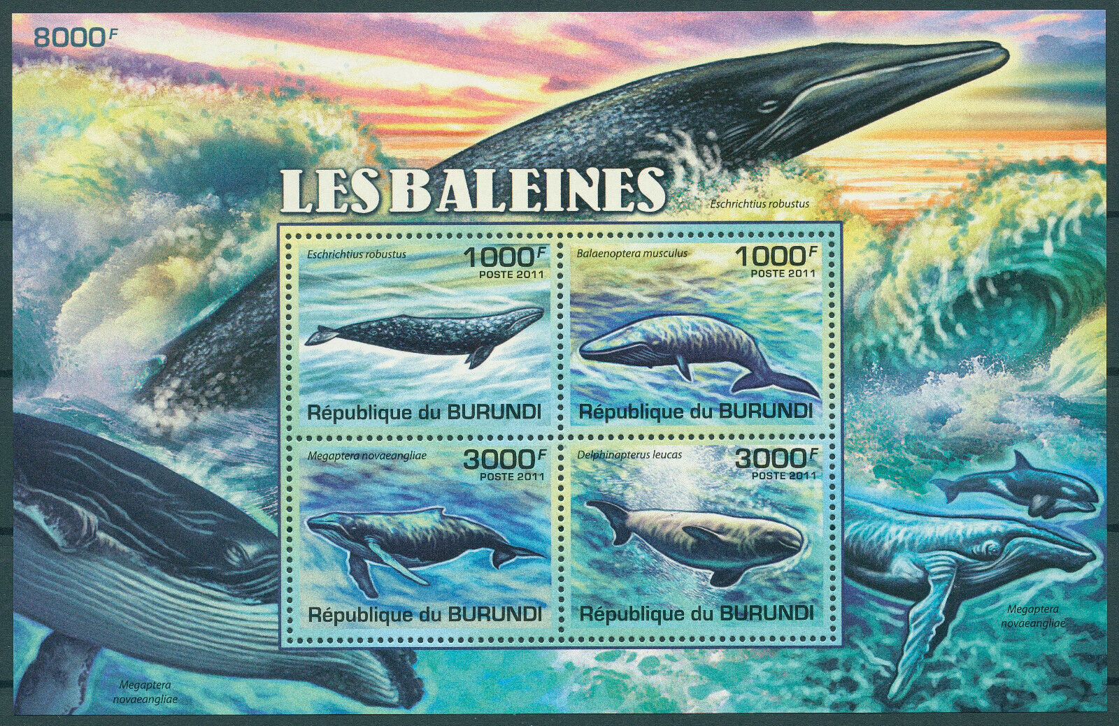 Burundi 2011 MNH Marine Animals Stamps Whales Humpback Beluga Blue Whale 4v M/S