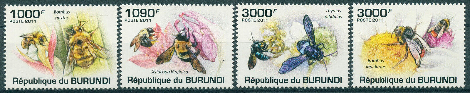 Burundi 2011 MNH Bees Stamps Eastern Carpenter Cuckoo Bee Bumblebee 4v Set