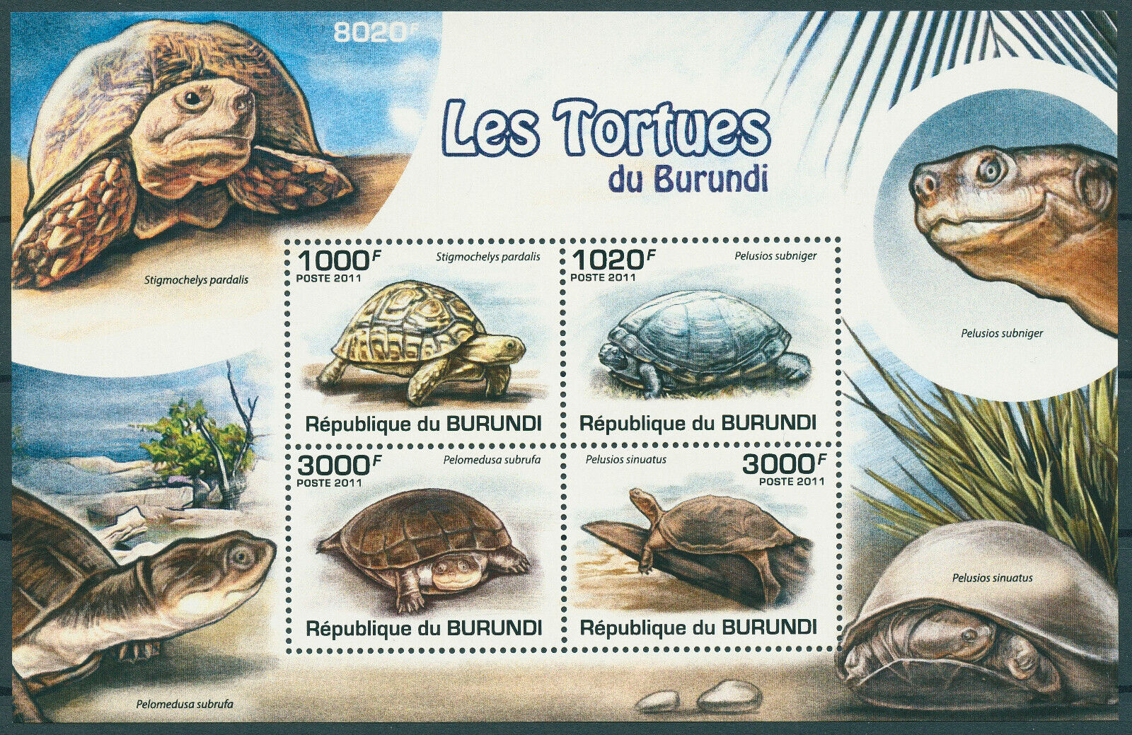 Burundi 2011 MNH Turtles Stamps Terrapin Leopard Tortoises Helmed Turtle 4v M/S