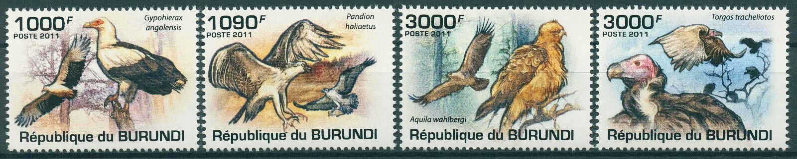 Burundi 2011 MNH Birds of Prey on Stamps Raptors Vultures Osprey Eagles 4v Set