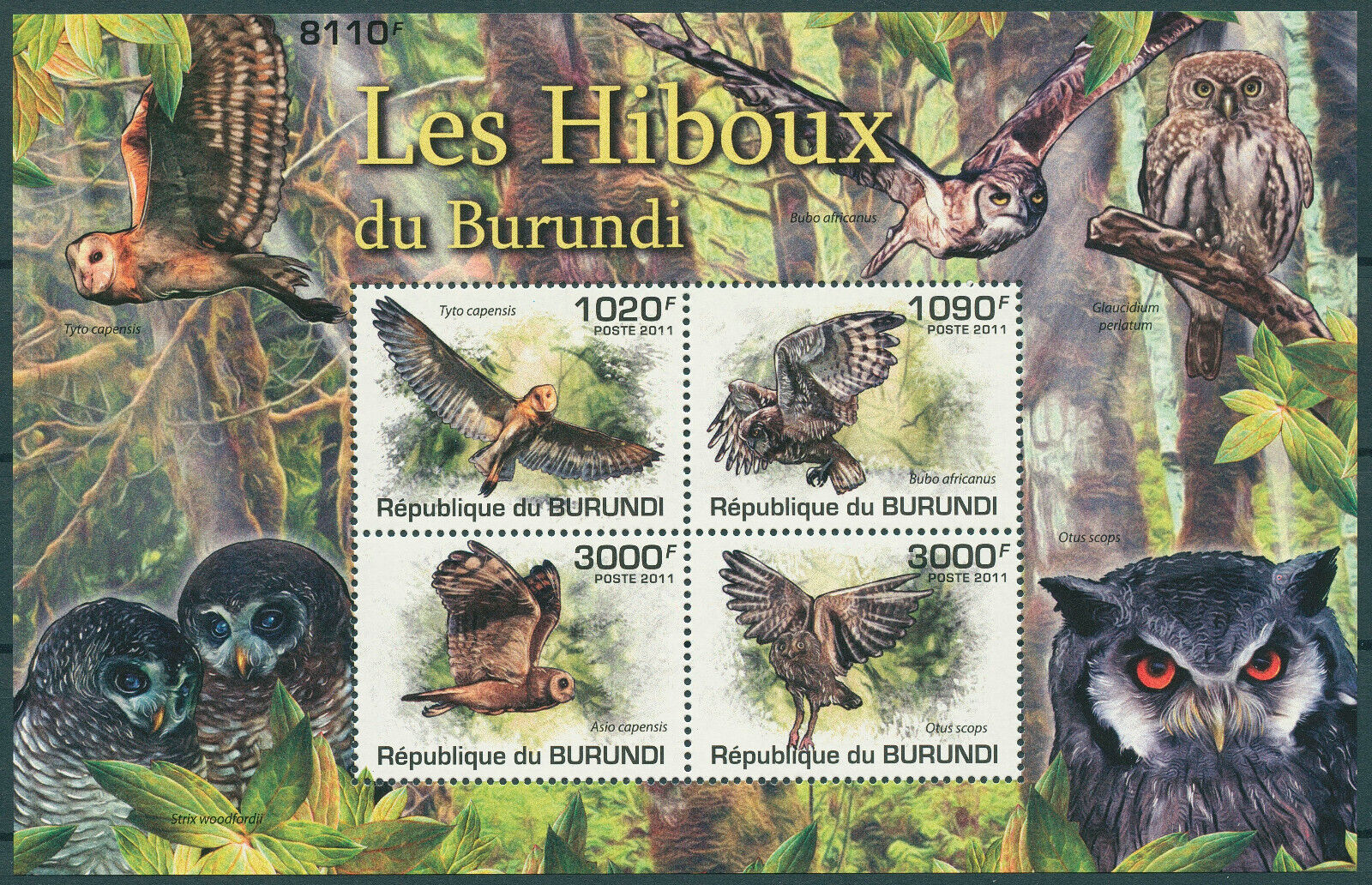 Burundi 2011 MNH Birds on Stamps Owls Marsh Scops Owl Spotted Eagle-Owl 4v M/S