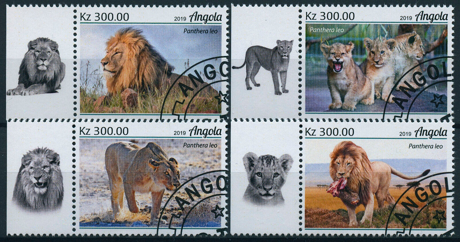 Angola 2019 CTO Wild Animals Stamps Lions Lion Big Cats Fauna 4v Set