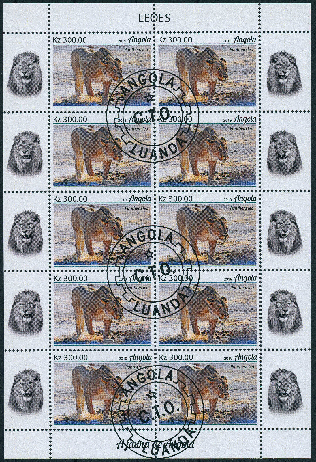 Angola 2019 CTO Wild Animals Stamps Lions Lion Big Cats Fauna 4x 10v M/S