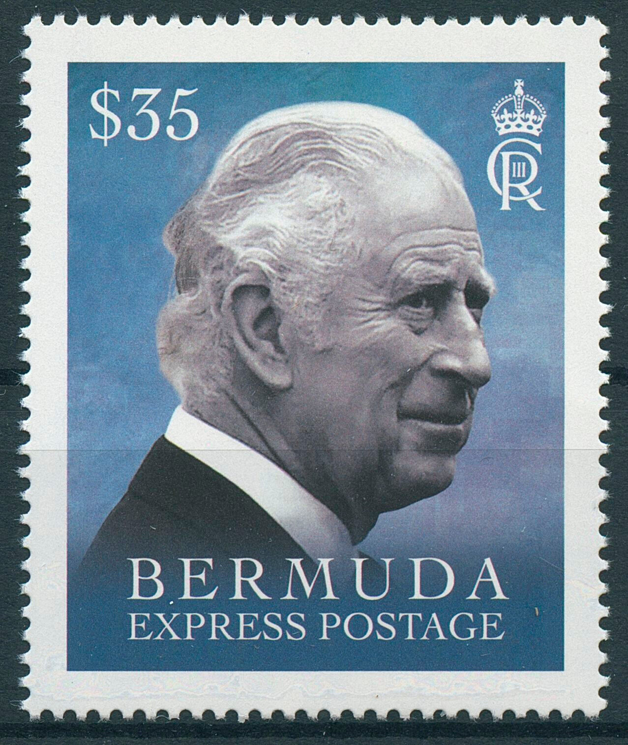 Bermuda 2023 MNH Royalty Stamps King Charles III Express Postage 1v Set High FACE