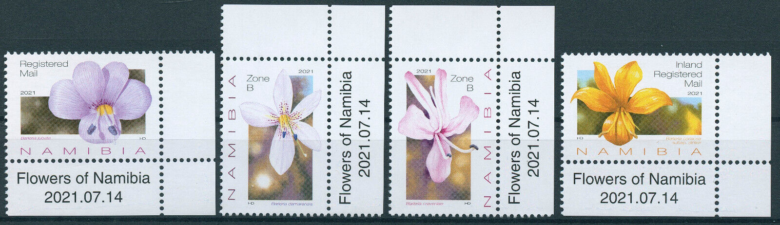 Namibia 2021 MNH Flora Stamps Barleria Flowers of Namibia Nature 4v Set C
