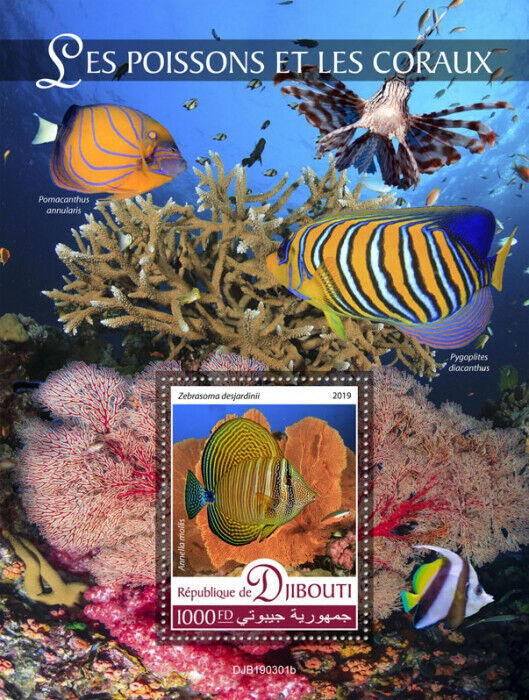 Djibouti 2019 MNH Fish & Corals Stamps Red Sea Sailfin Tang Fish 1v S/S