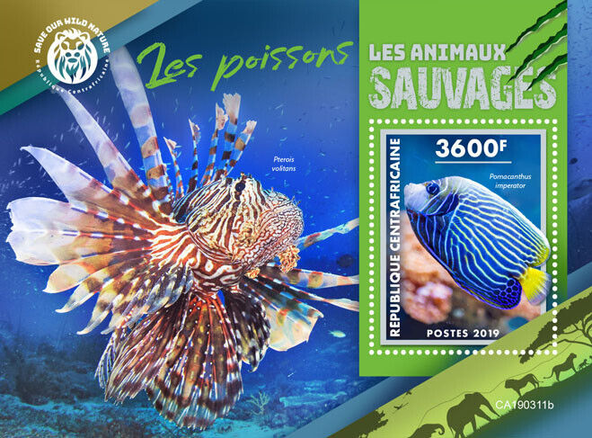 Central African Rep 2019 MNH Fish Stamps Fishes Emperor Angelfish 1v S/S