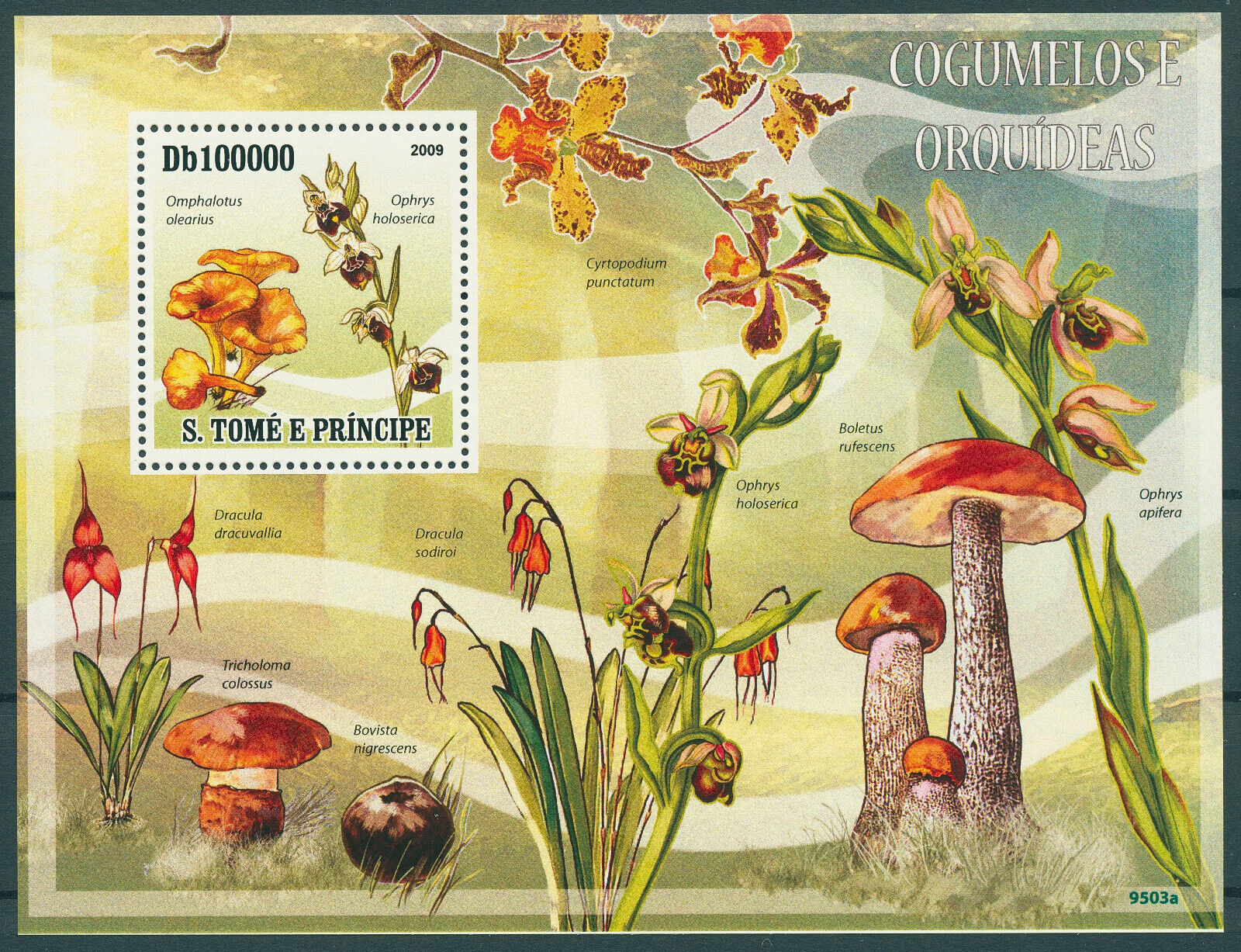 Sao Tome & Principe 2009 MMH Mushrooms & Orchids Stamps Fungi Flowers 1v S/S