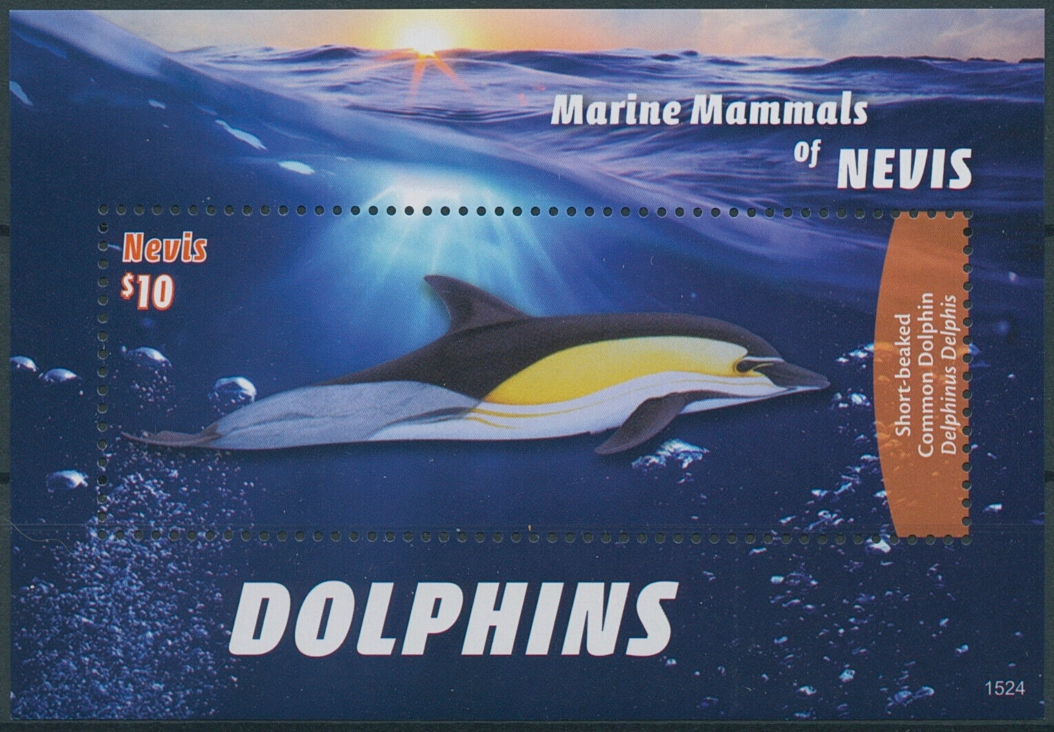 Nevis 2015 MNH Marine Animals Stamps Marine Mammals Dolphins 1v S/S