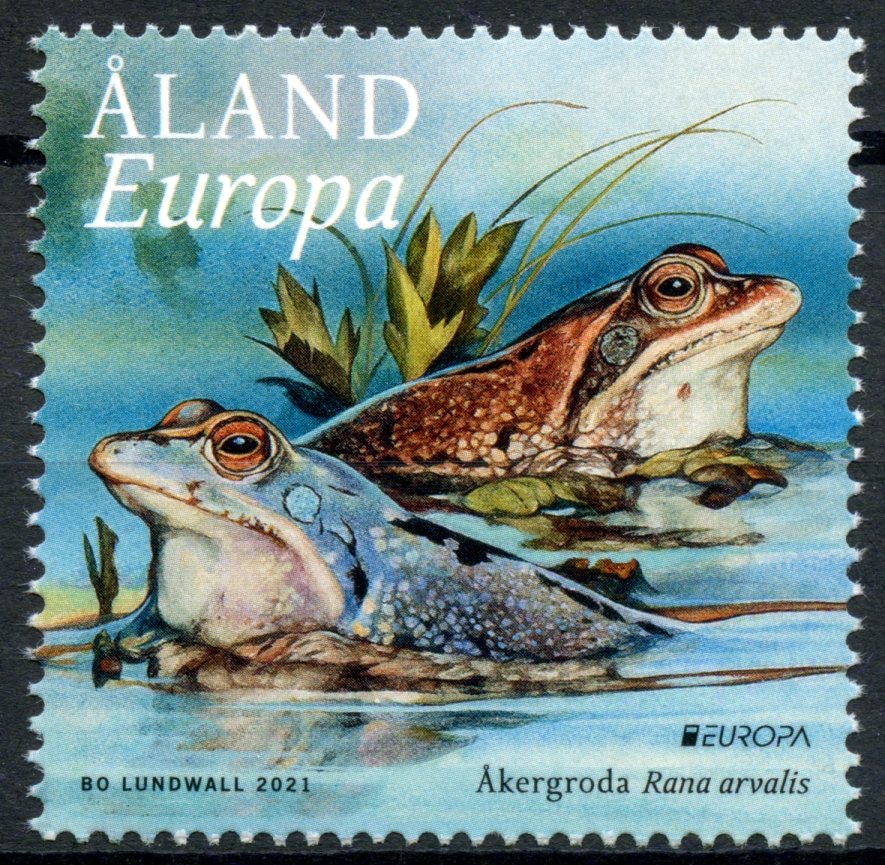 Aland Europa Stamps 2021 MNH Endangered National Wildlife Frogs Moor Frog 1v Set