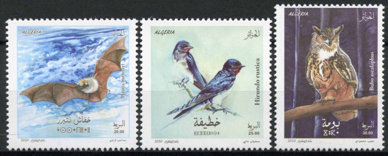 Algeria 2020 MNH Birds & Bats on Stamps Owls Swallows Wild Animals 3v Set