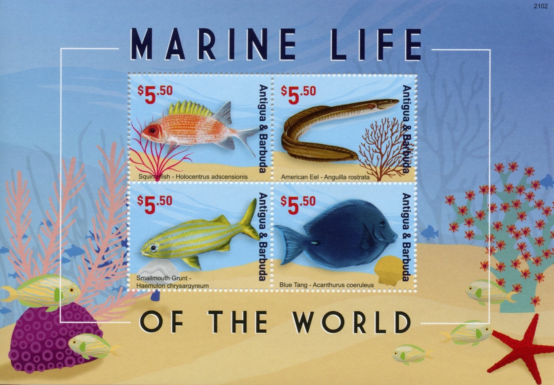 Antigua & Barbuda 2021 MNH Fish Stamps Marine Life of World Eels Fishes Tang 4v M/S