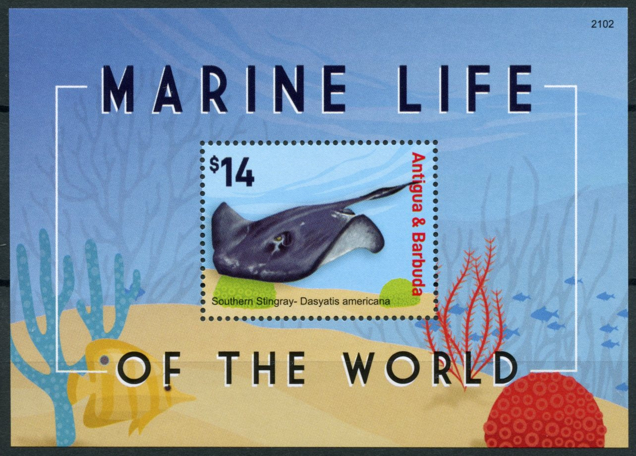 Antigua & Barbuda Fish Stamps 2021 MNH Marine Life of World Stingray 1v S/S