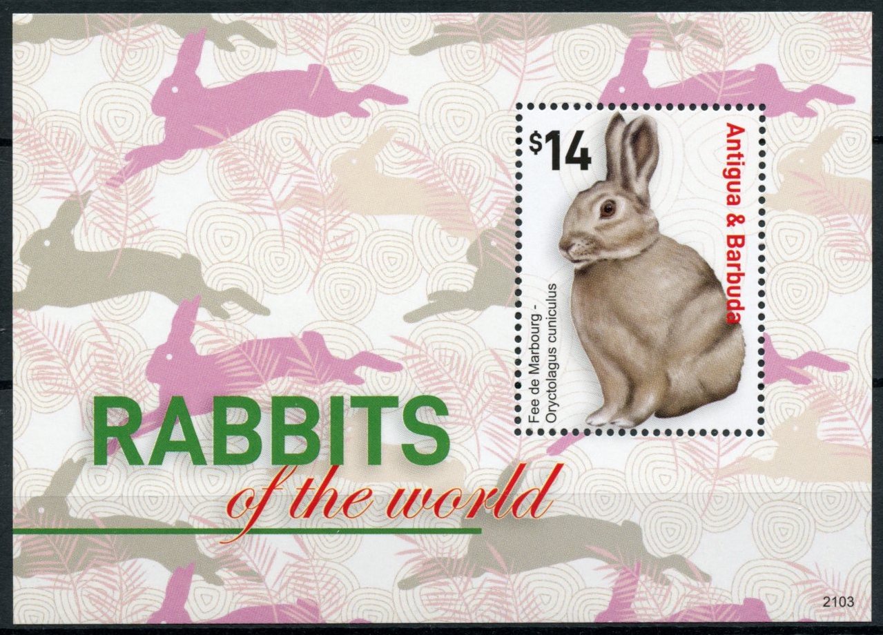 Antigua & Barbuda Domestic Animals Stamps 2021 MNH Rabbits of World Pets 1v S/S